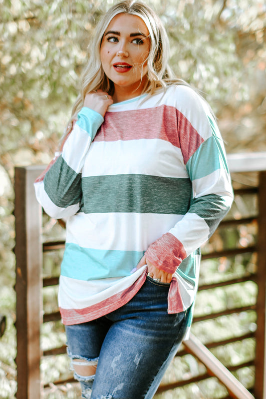 Plus Size Colorblock Pullover Top